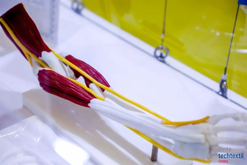 视频]荷兰：新型材料打造“绿色飞机”(图1)