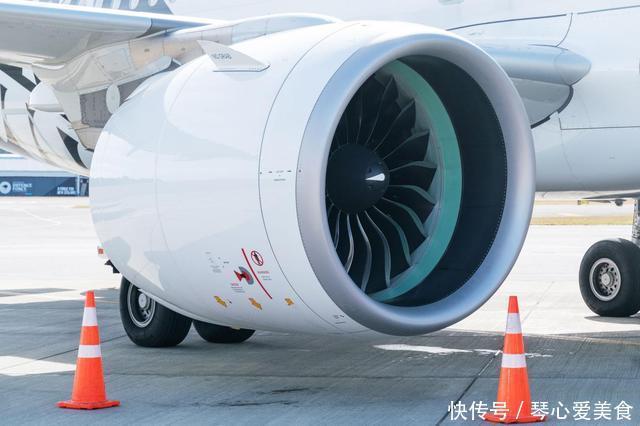 餐厨废油变身航空燃料！青白江这个新项目有点牛→(图1)